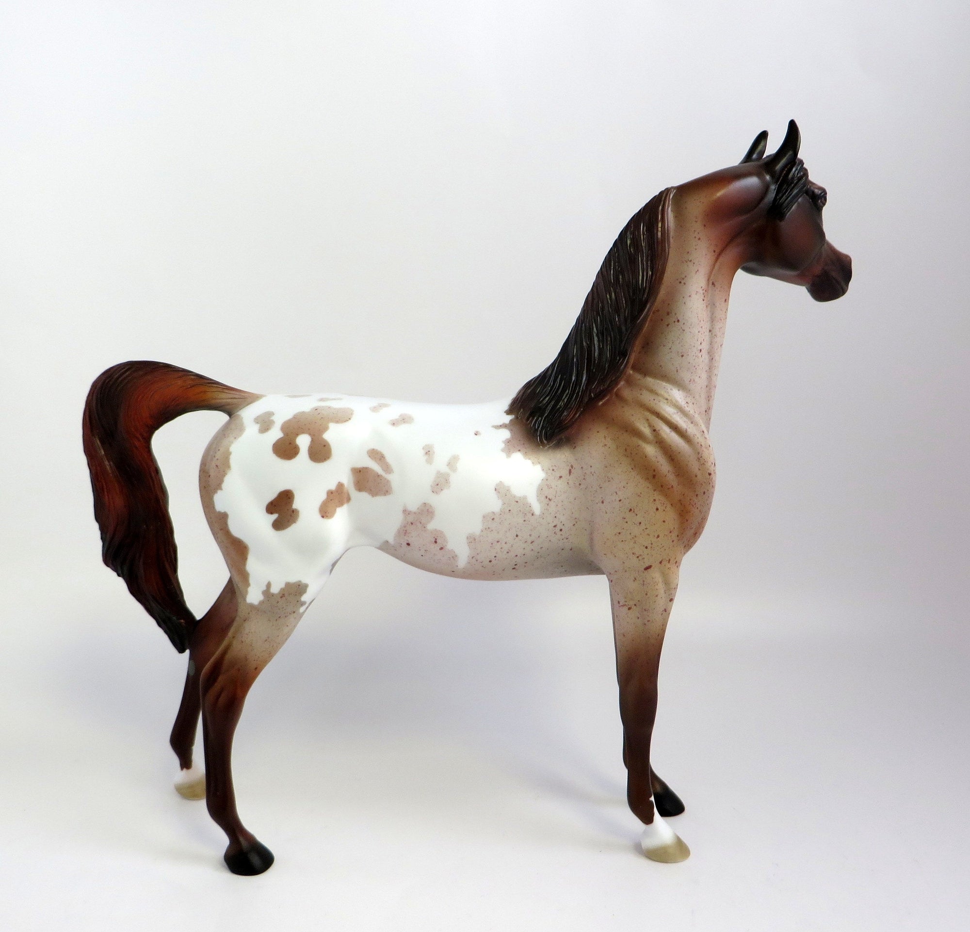 RAGMAN-OOAK CHESTNUT PINTALOOSA ARABIAN MODEL HORSE EQ 19