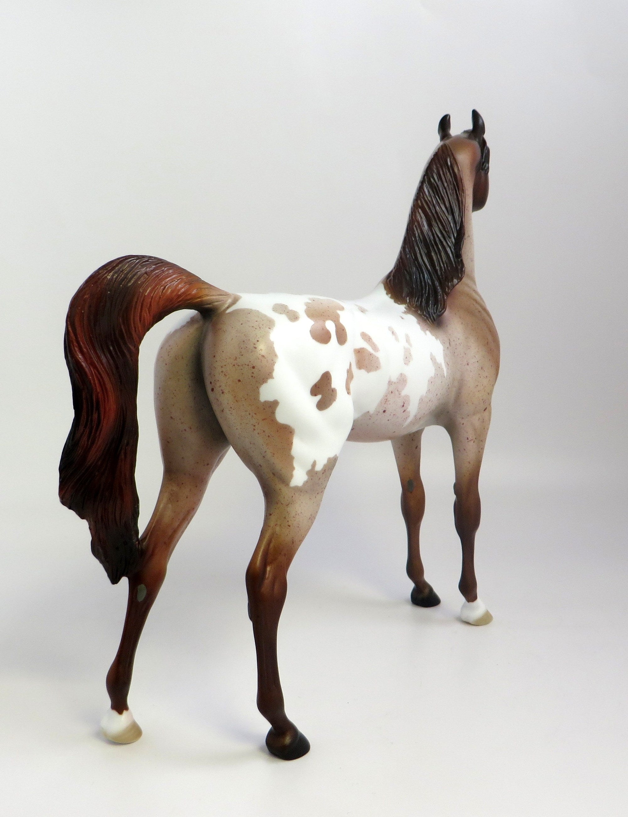 RAGMAN-OOAK CHESTNUT PINTALOOSA ARABIAN MODEL HORSE EQ 19