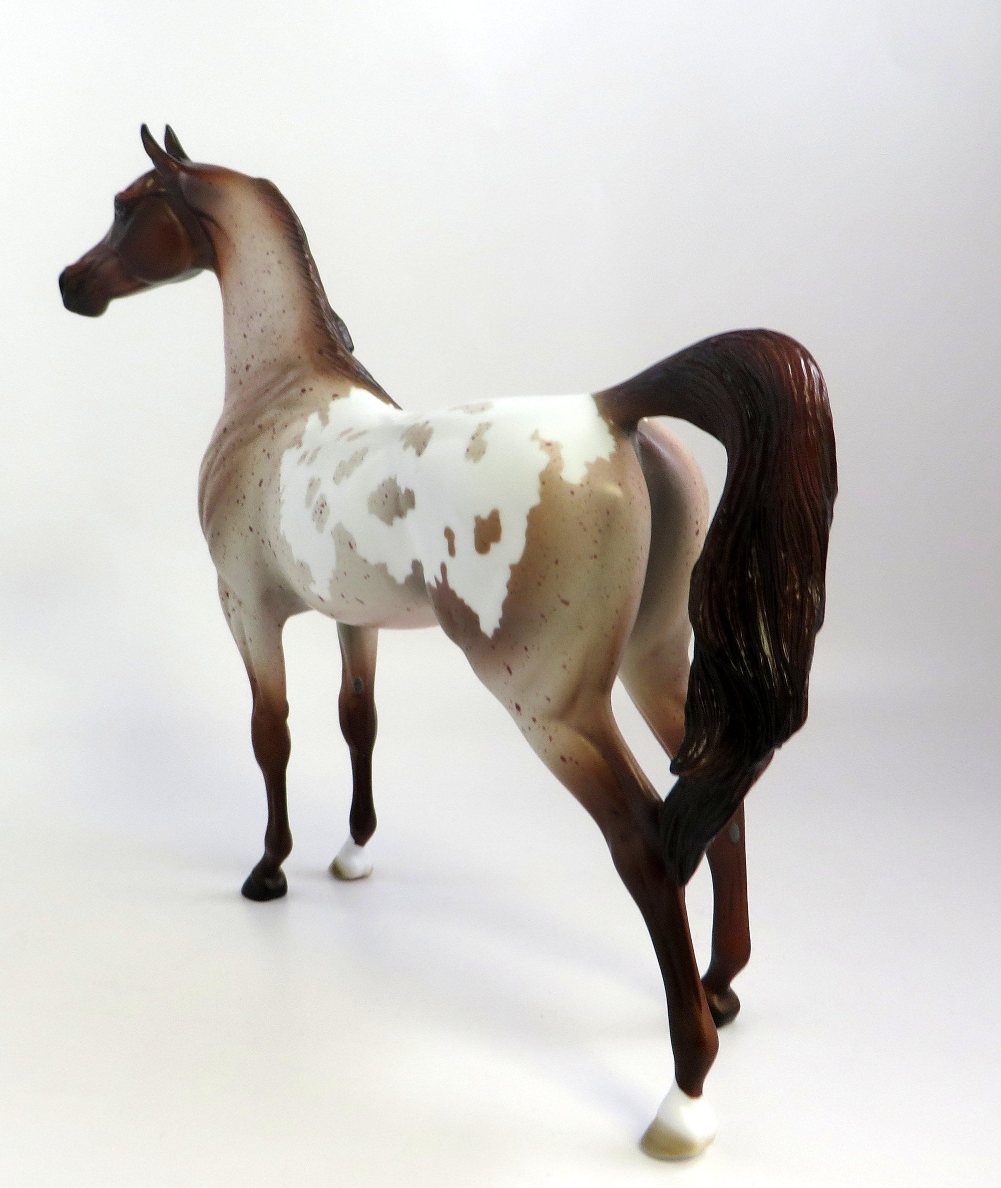 RAGMAN-OOAK CHESTNUT PINTALOOSA ARABIAN MODEL HORSE EQ 19