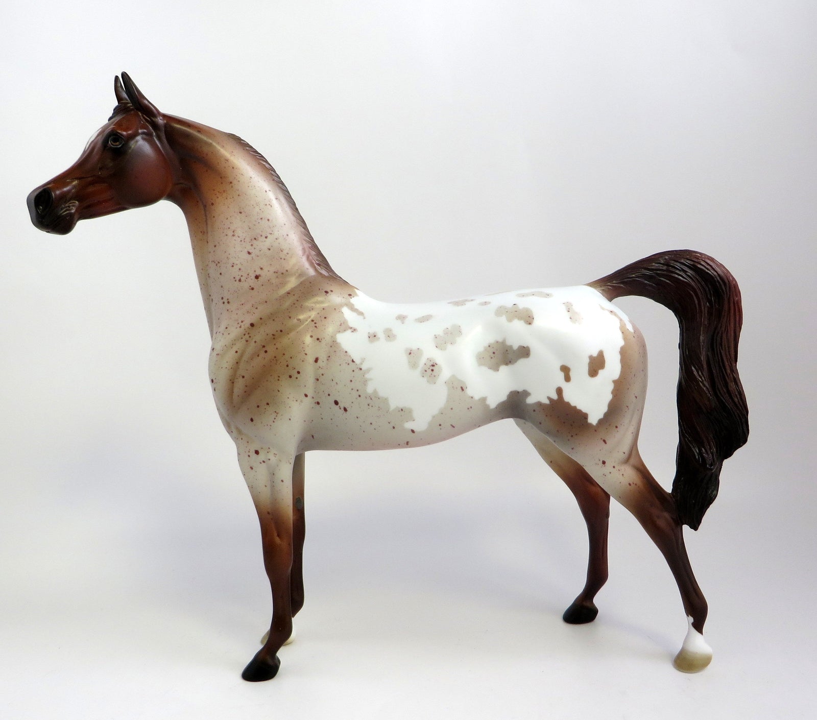 RAGMAN-OOAK CHESTNUT PINTALOOSA ARABIAN MODEL HORSE EQ 19