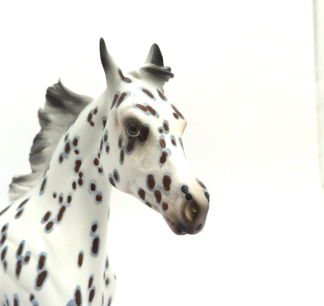 RAISIN PIE - LE-6 DARK BAY LEOPARD APPALOOSA YEARLING MODEL HORSE EA/MW 20
