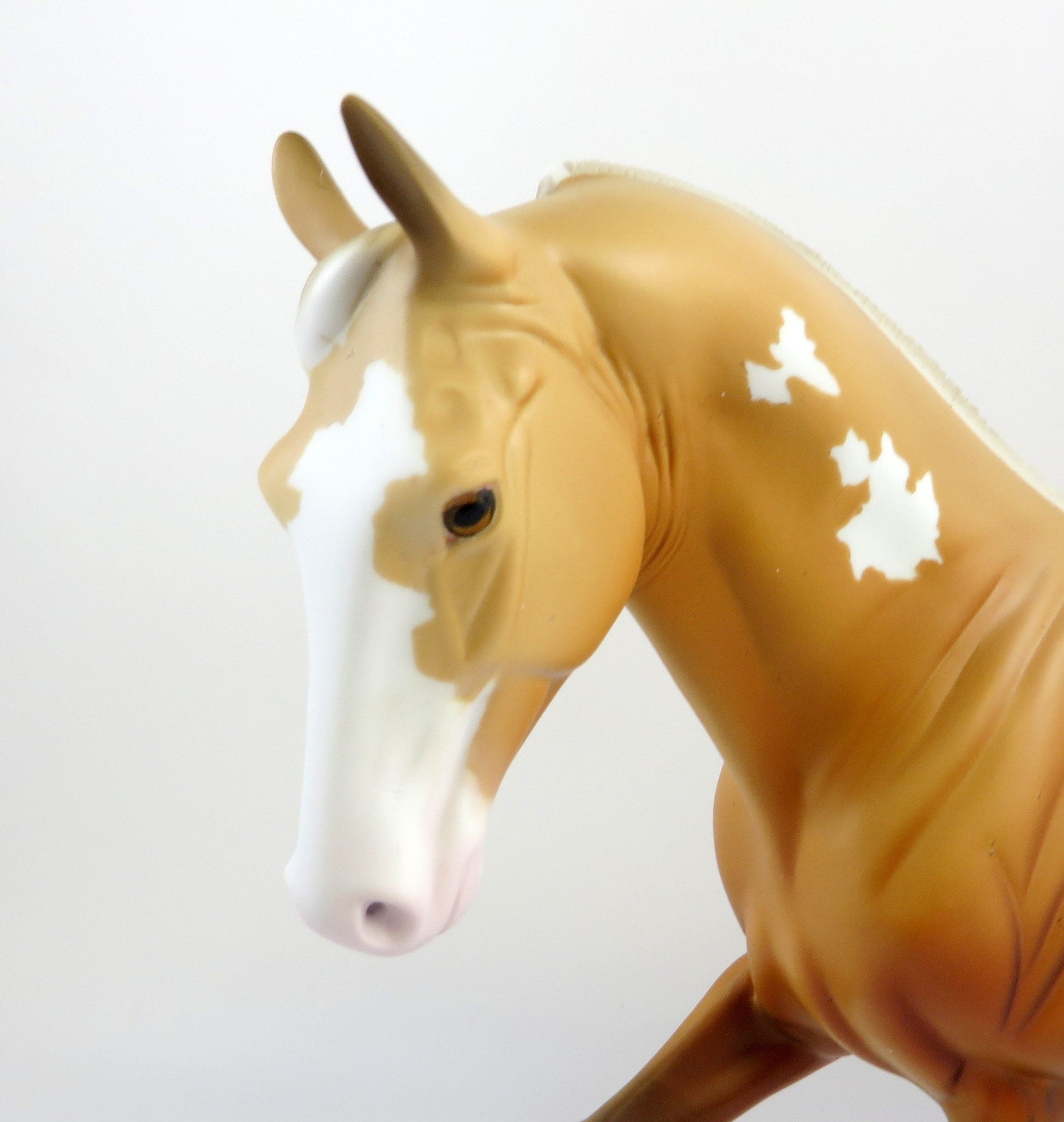 RANDEL-OOAK CHESTNUT TOVERO TWH EQ 2019