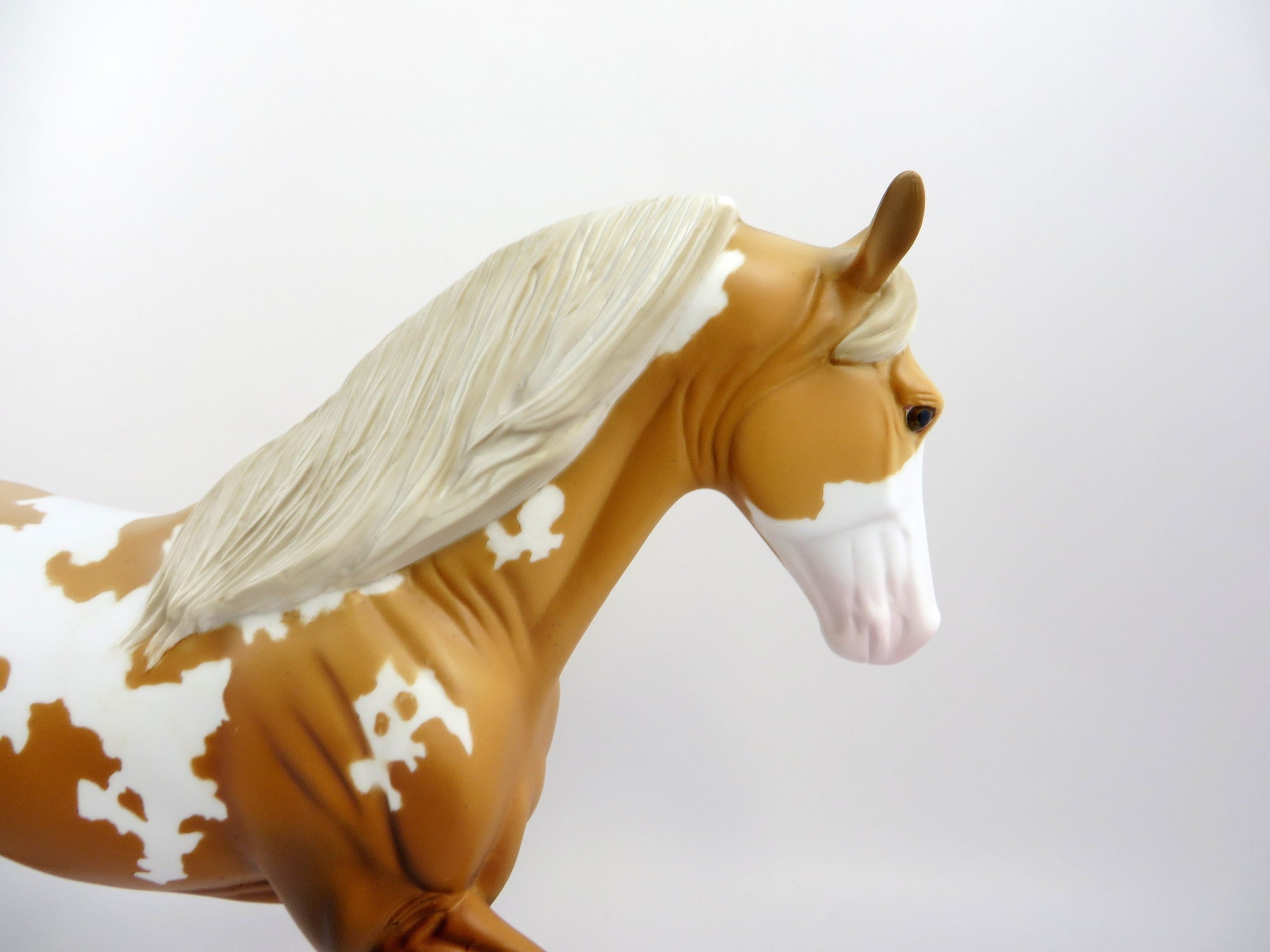 RANDEL-OOAK CHESTNUT TOVERO TWH EQ 2019