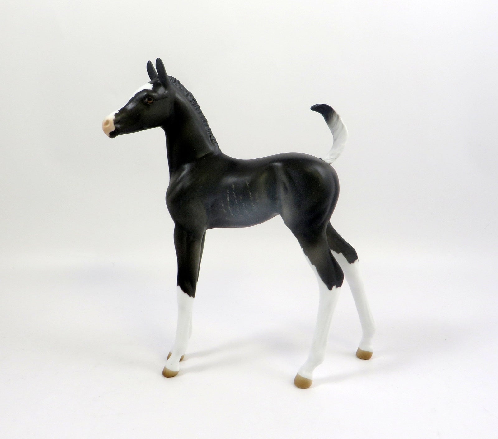 RAVEN-LE-20 CUSTOM RABICANO ARAB FOAL EQ 2019