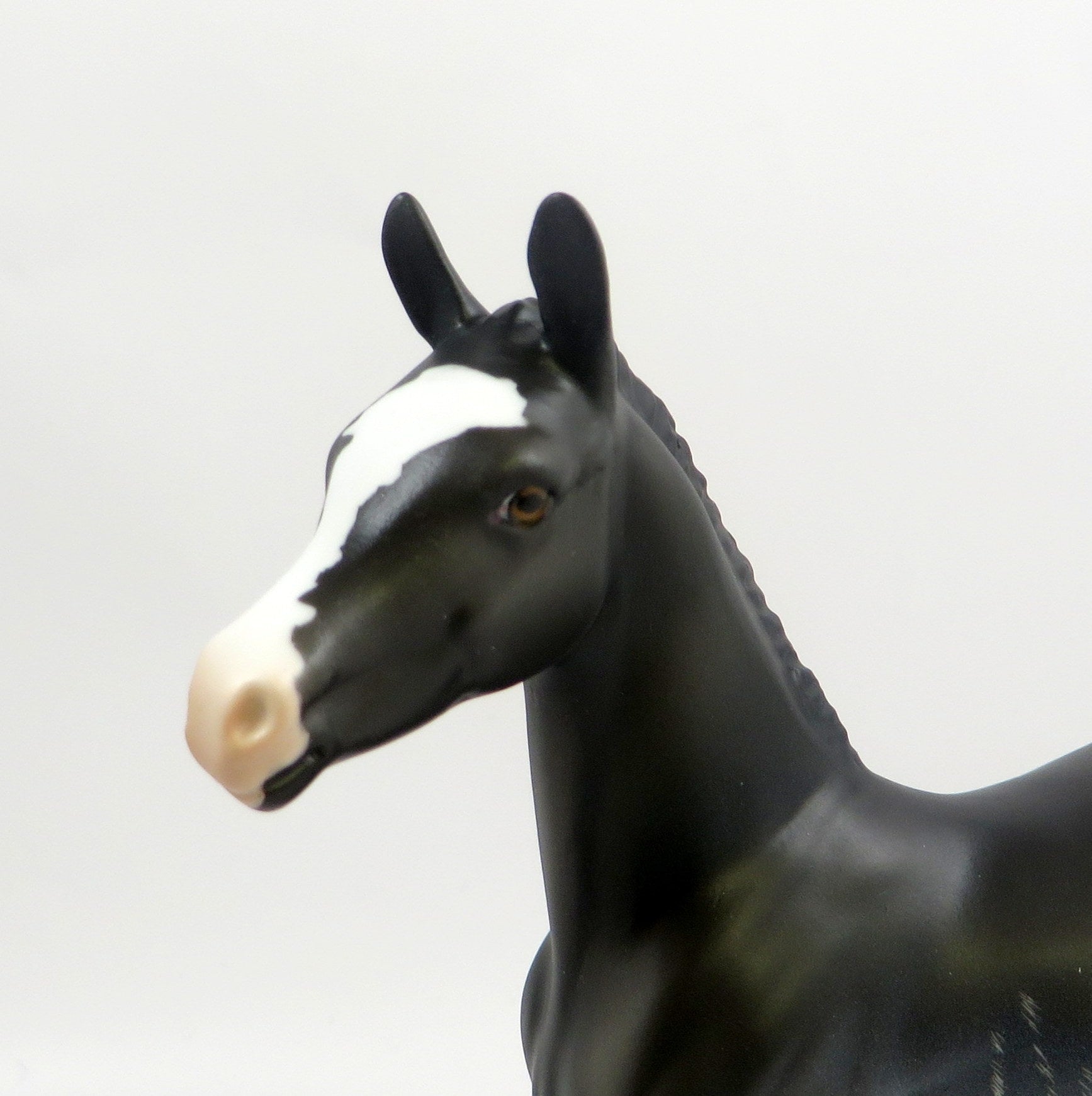 RAVEN-LE-20 CUSTOM RABICANO ARAB FOAL EQ 2019