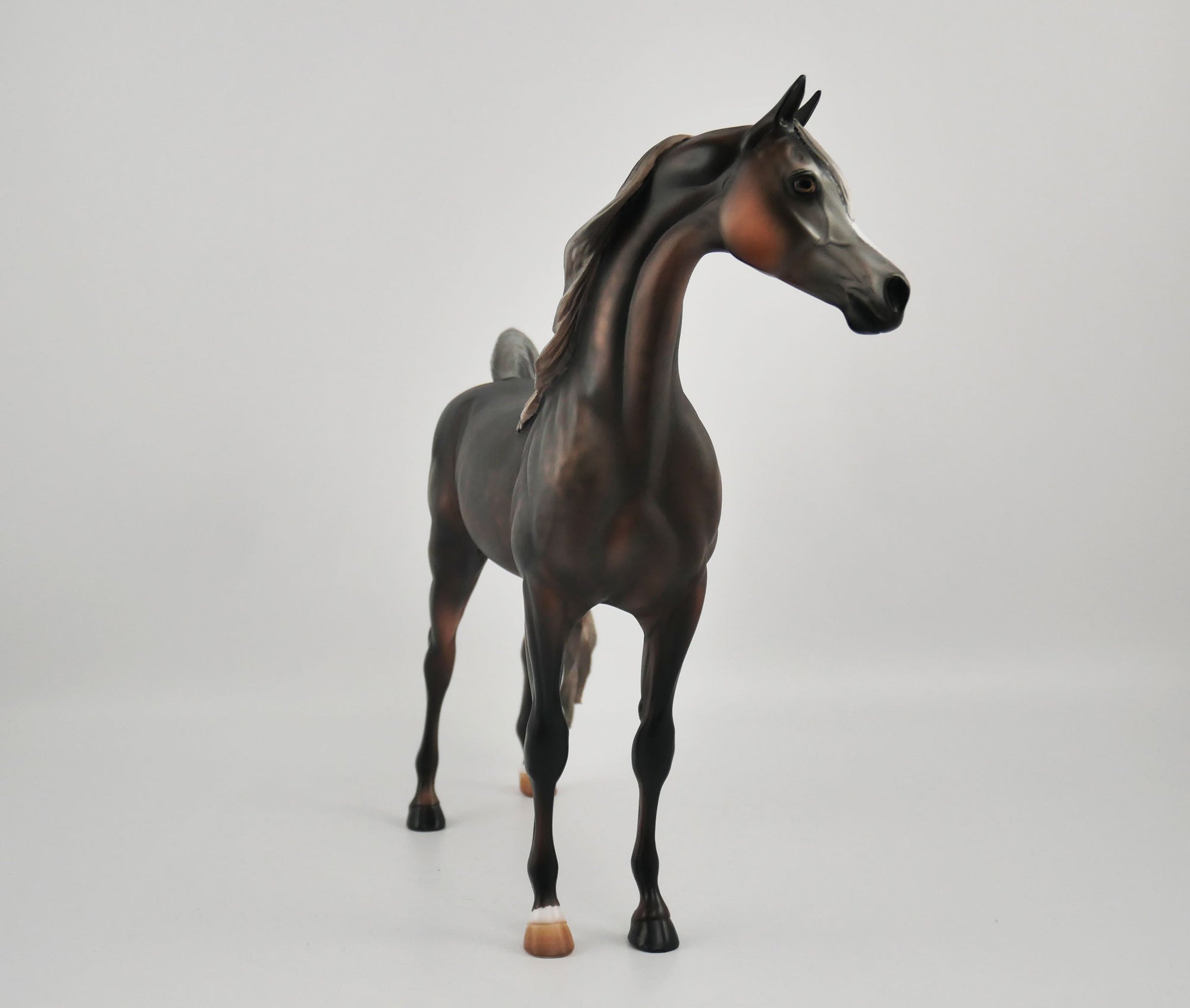 RAVEN-CM-OOAK ROSE GREY ARABIAN BY JULIE KEIM MM2020