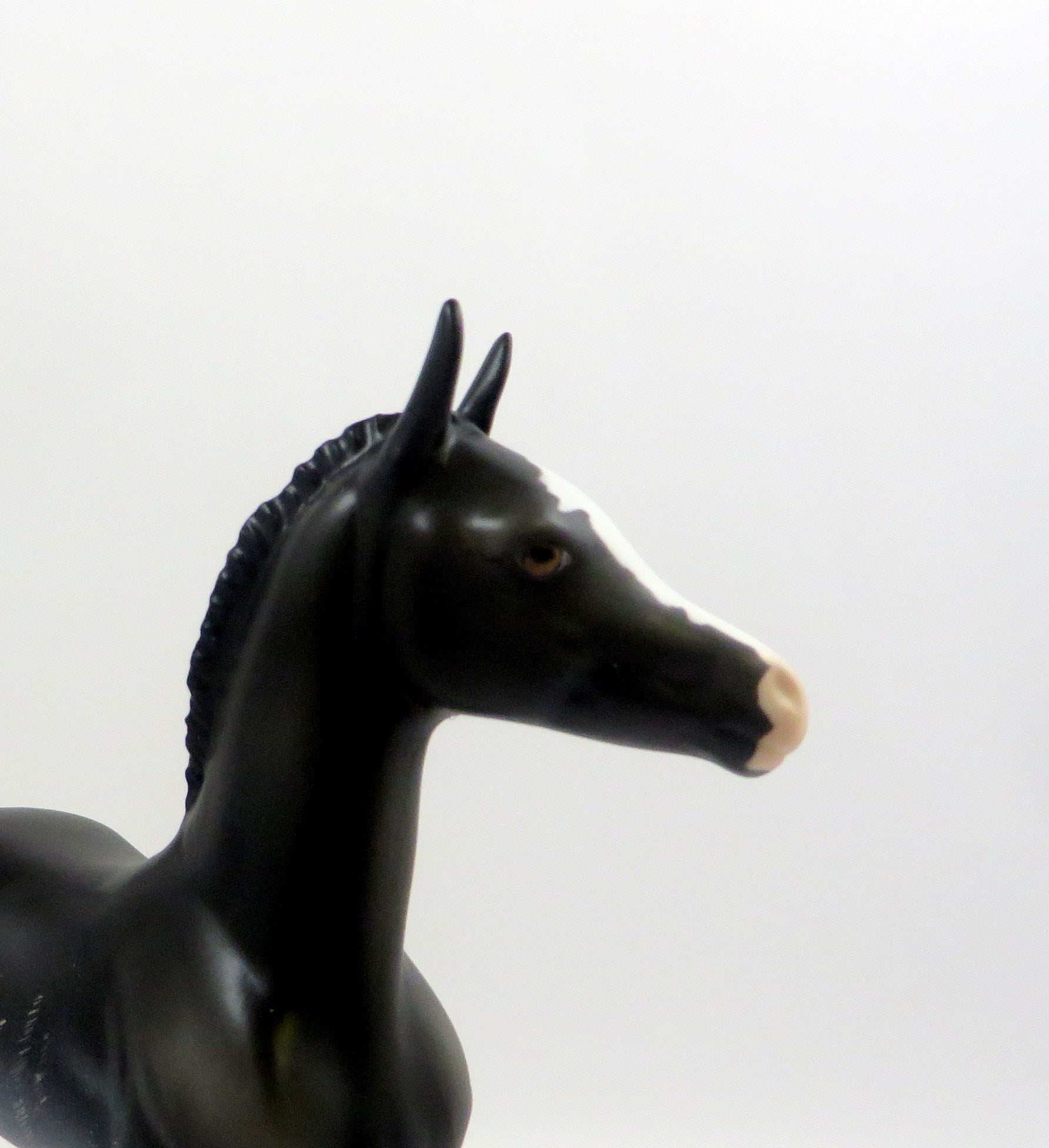 RAVEN-LE-20 CUSTOM RABICANO ARAB FOAL EQ 2019