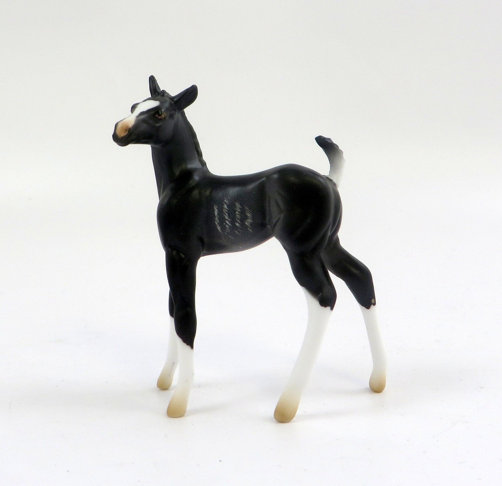 RAVEN-LE-10 MINI ME RABICANO CM FOAL CHIP EQ 2019