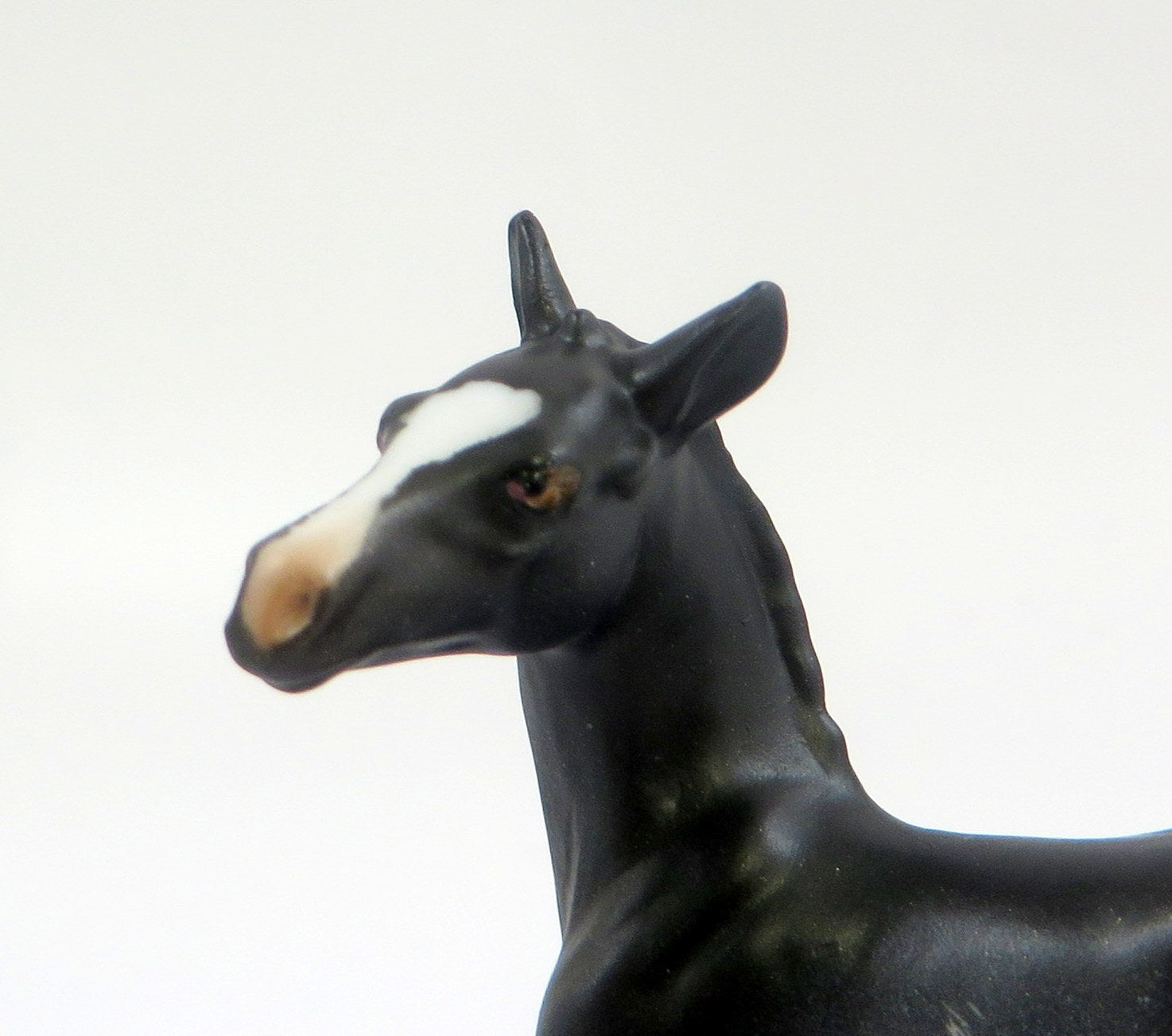 RAVEN-LE-10 MINI ME RABICANO CM FOAL CHIP EQ 2019