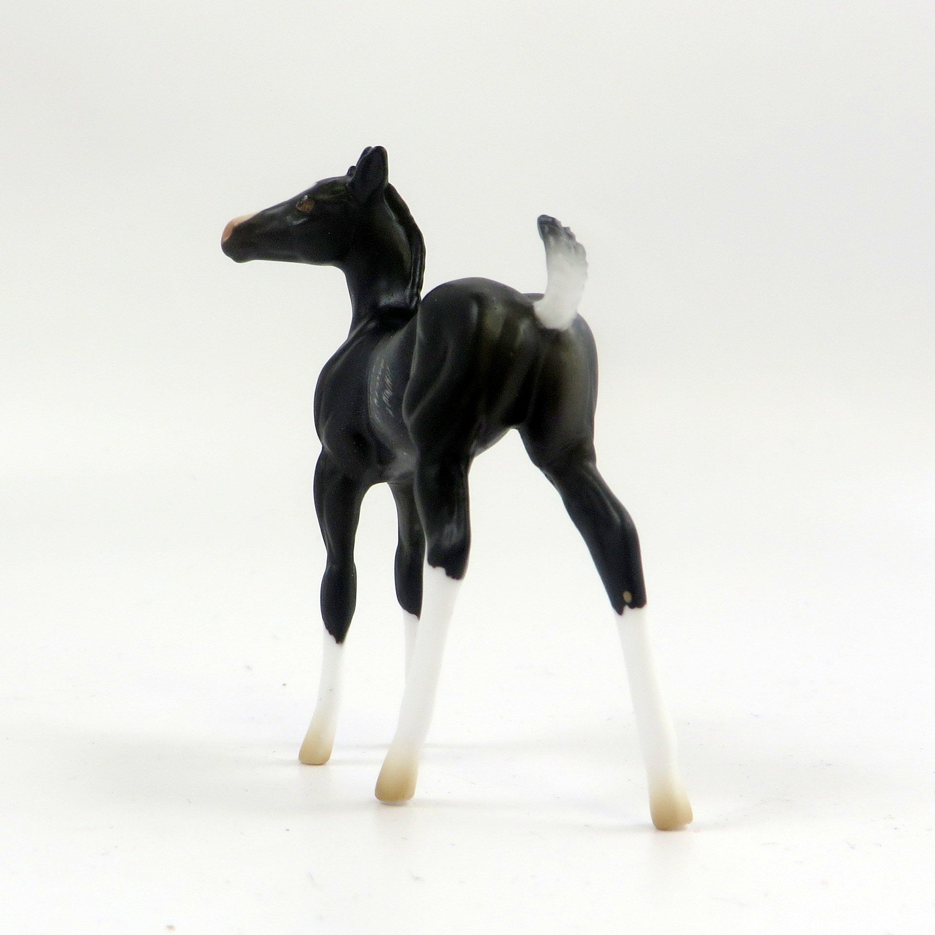 RAVEN-LE-10 MINI ME RABICANO CM FOAL CHIP EQ 2019