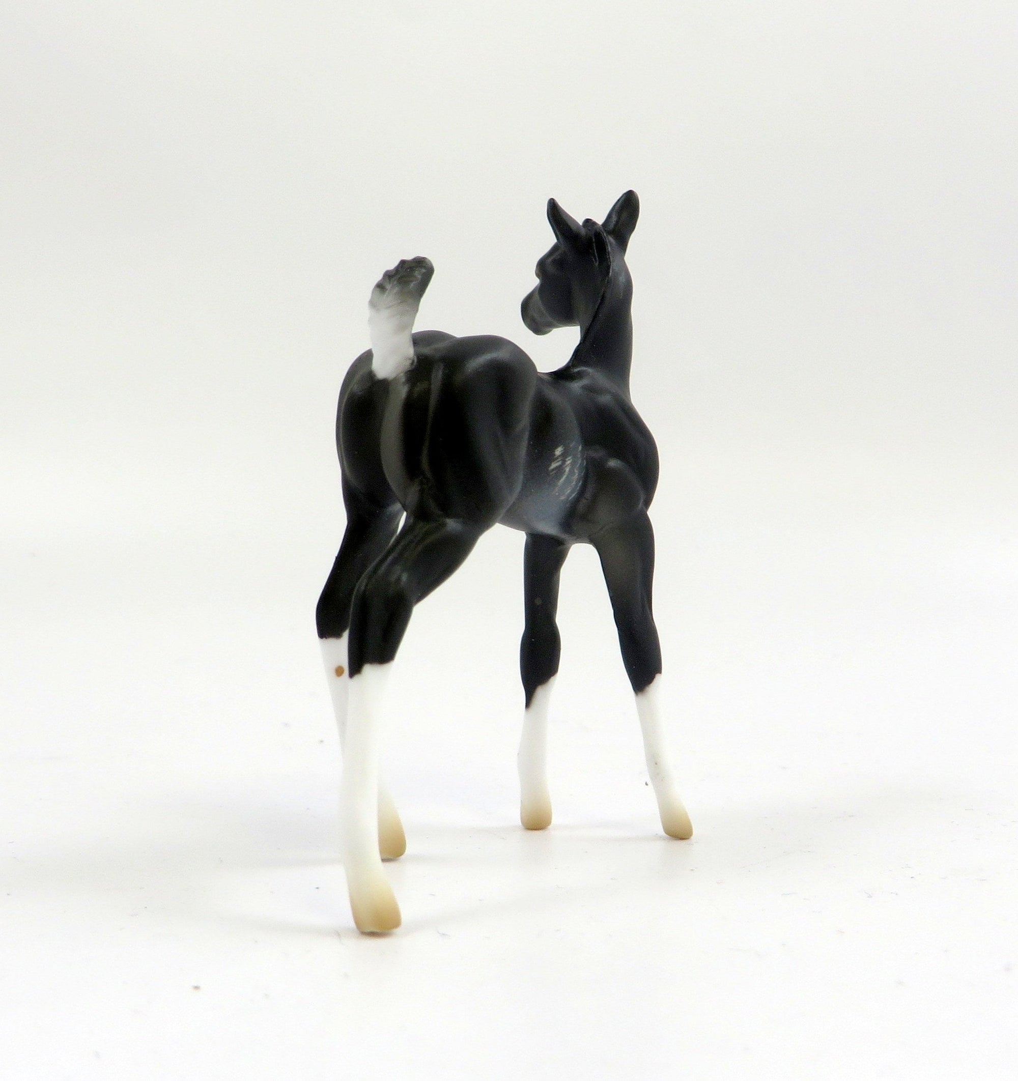 RAVEN-LE-10 MINI ME RABICANO CM FOAL CHIP EQ 2019