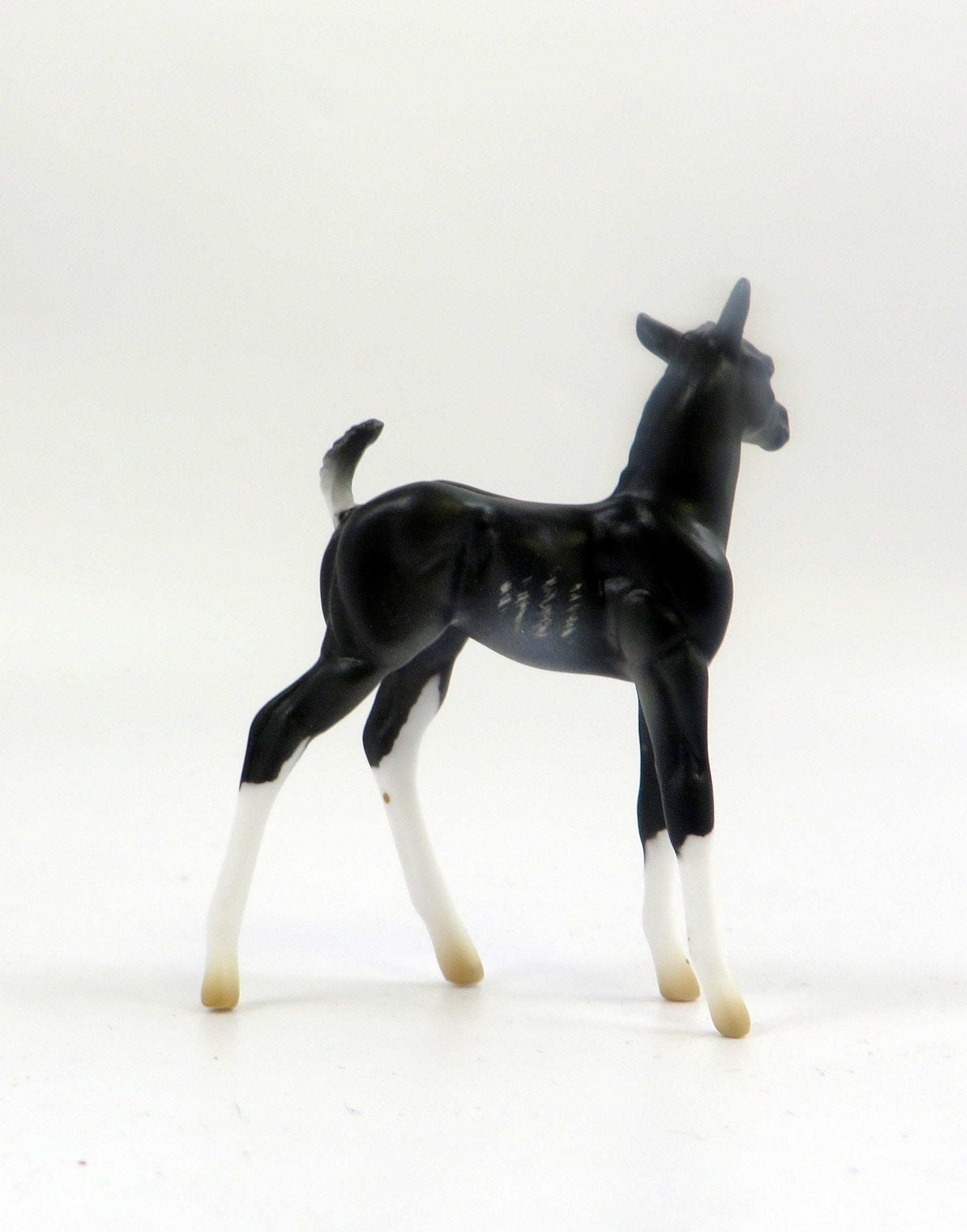 RAVEN-LE-10 MINI ME RABICANO CM FOAL CHIP EQ 2019