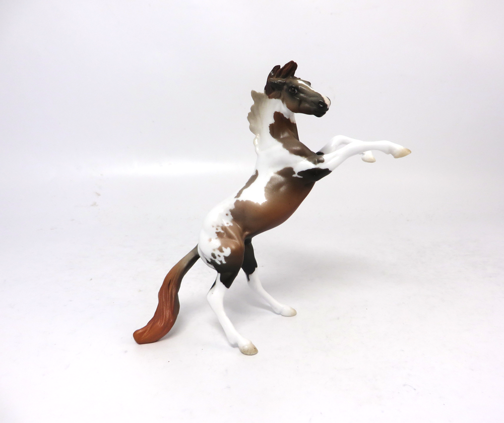 LAMBEAU- OOAK-SOOTY BUCKSKIN PINTO REARING CHIP--MW19