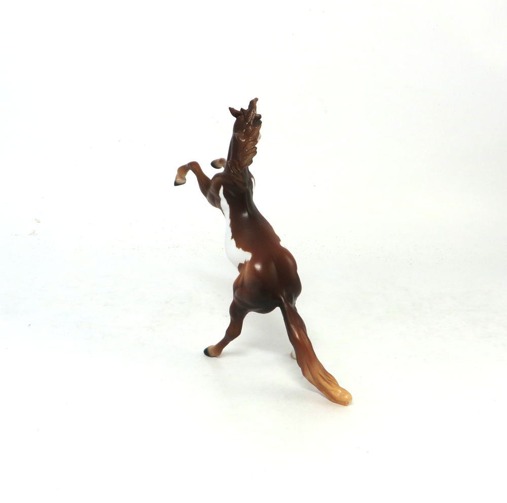 ROOKIE-OOAK- CHESTNUT OVERO REARING  CHIP BY AUDREY DIXON SB19