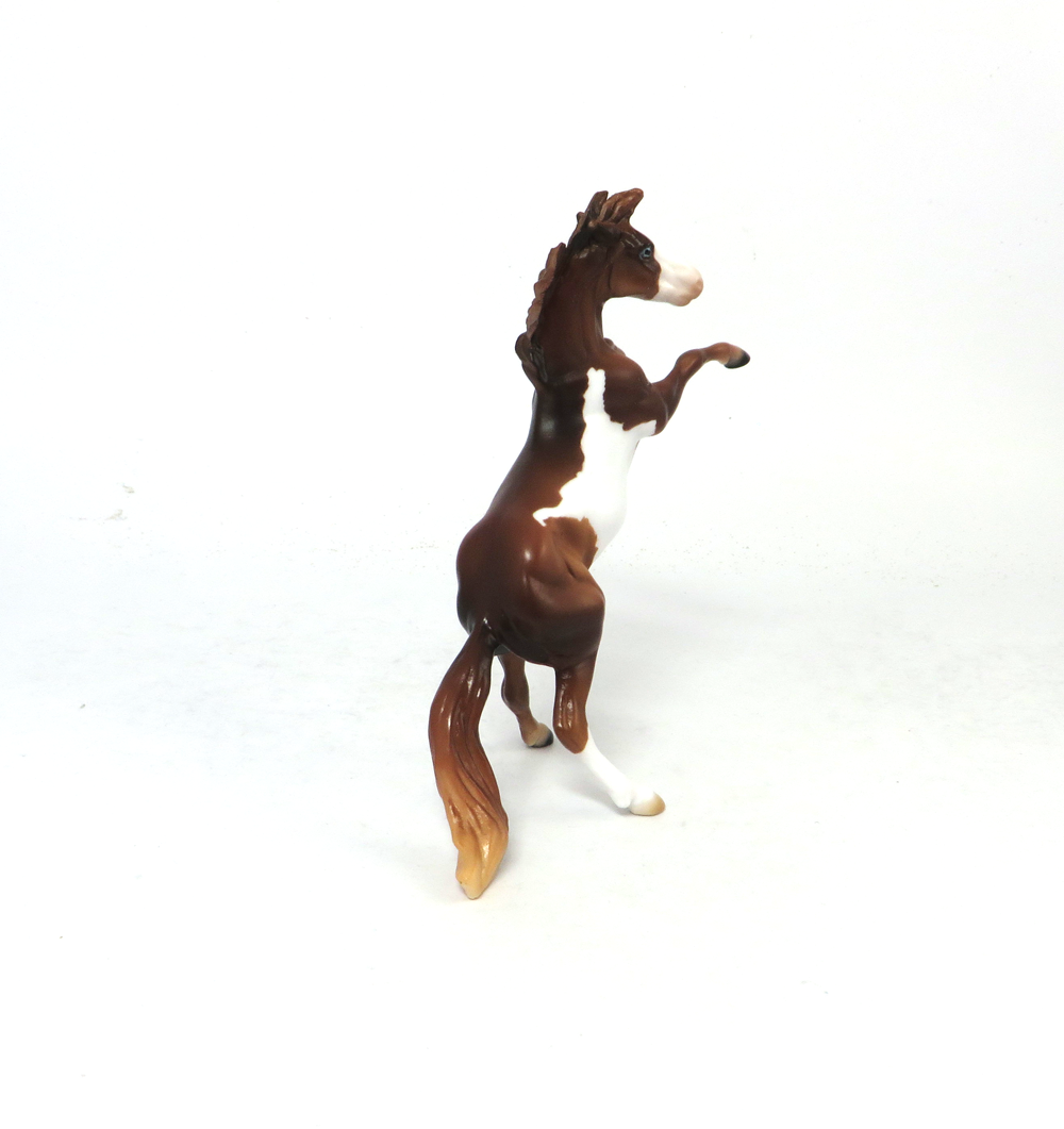 ROOKIE-OOAK- CHESTNUT OVERO REARING  CHIP BY AUDREY DIXON SB19