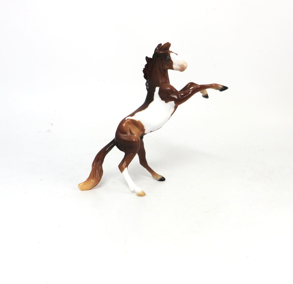 ROOKIE-OOAK- CHESTNUT OVERO REARING  CHIP BY AUDREY DIXON SB19