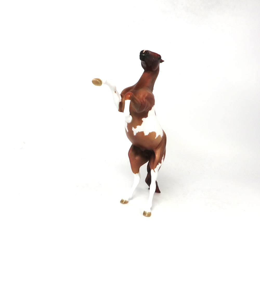 ALL IN - OOAK - CHESTNUT PINTO REARING PEBBLE BY AMANDA HOSTELER SB19