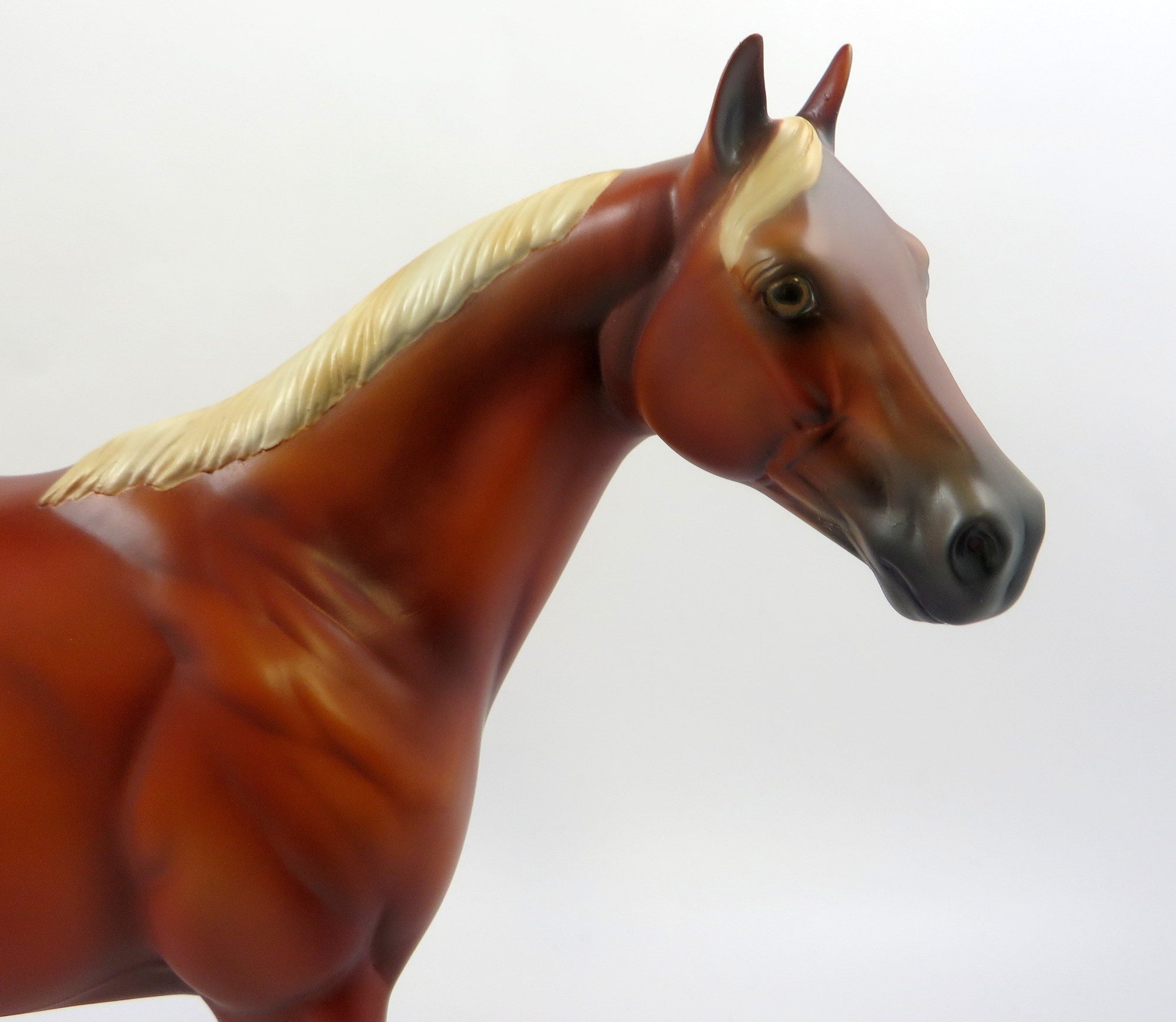 RED CARPET-LE-3 CHESTNUT ISH MODEL HORSE EQ 2019