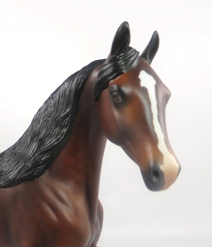 RED ZONE-LE-5 DARK DAPPLE BAY ARABIAN MARE