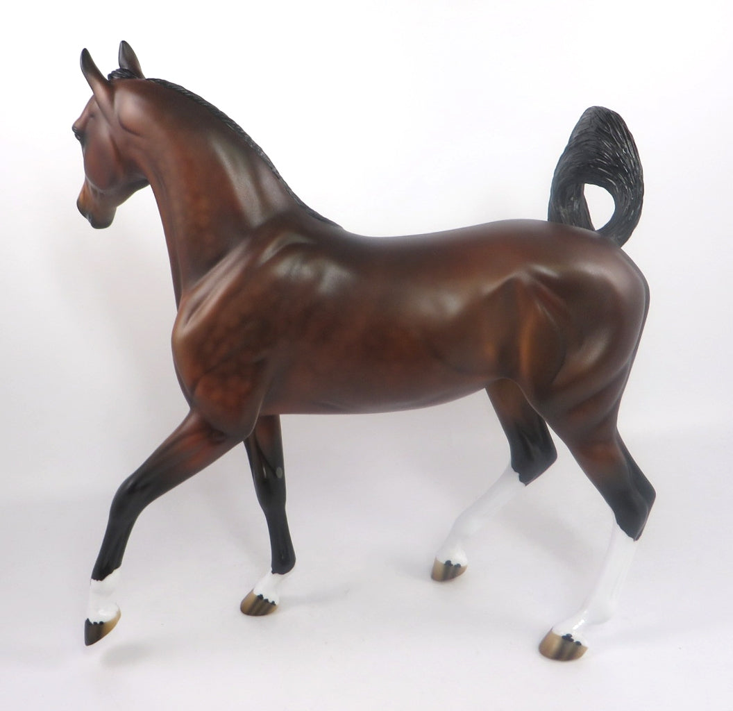 RED ZONE-LE-5 DARK DAPPLE BAY ARABIAN MARE