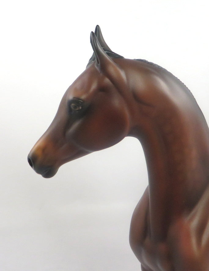 RED ZONE-LE-5 DARK DAPPLE BAY ARABIAN MARE