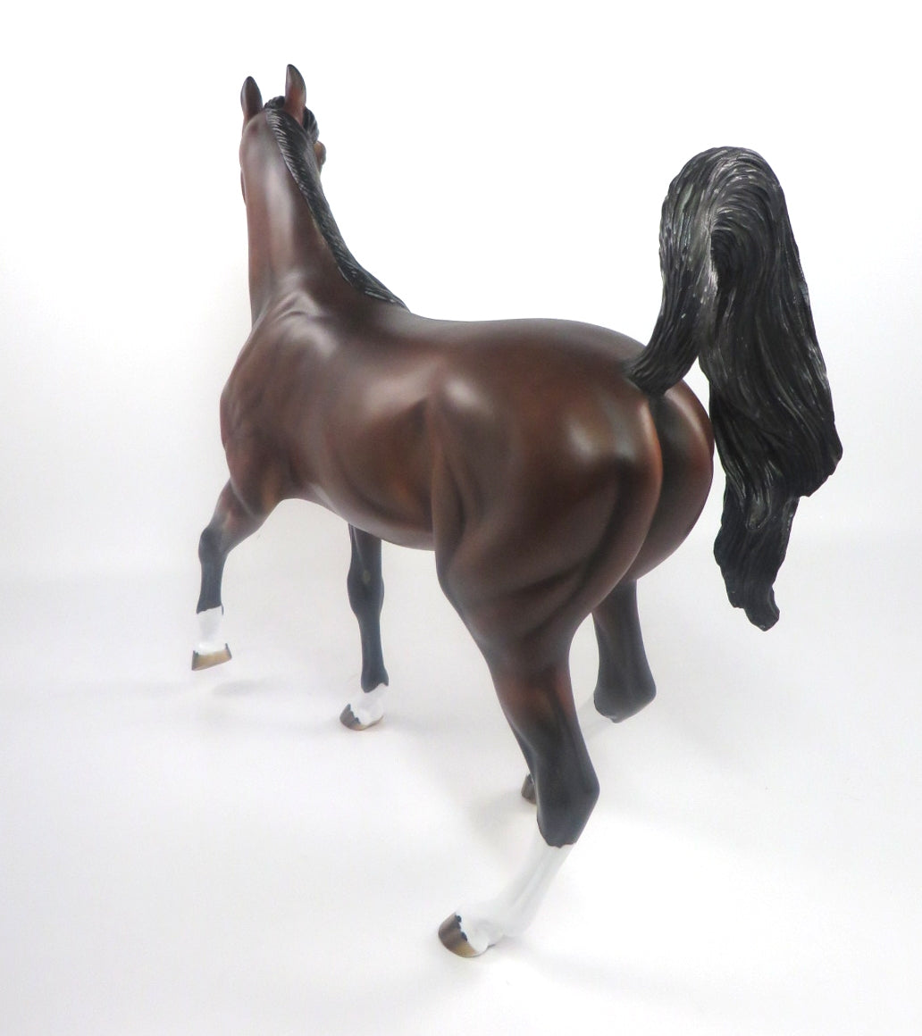 RED ZONE-LE-5 DARK DAPPLE BAY ARABIAN MARE