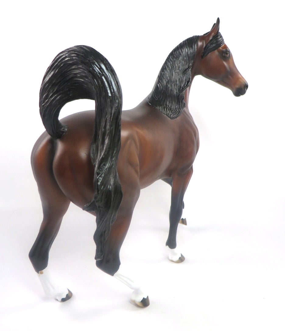 RED ZONE-LE-5 DARK DAPPLE BAY ARABIAN MARE