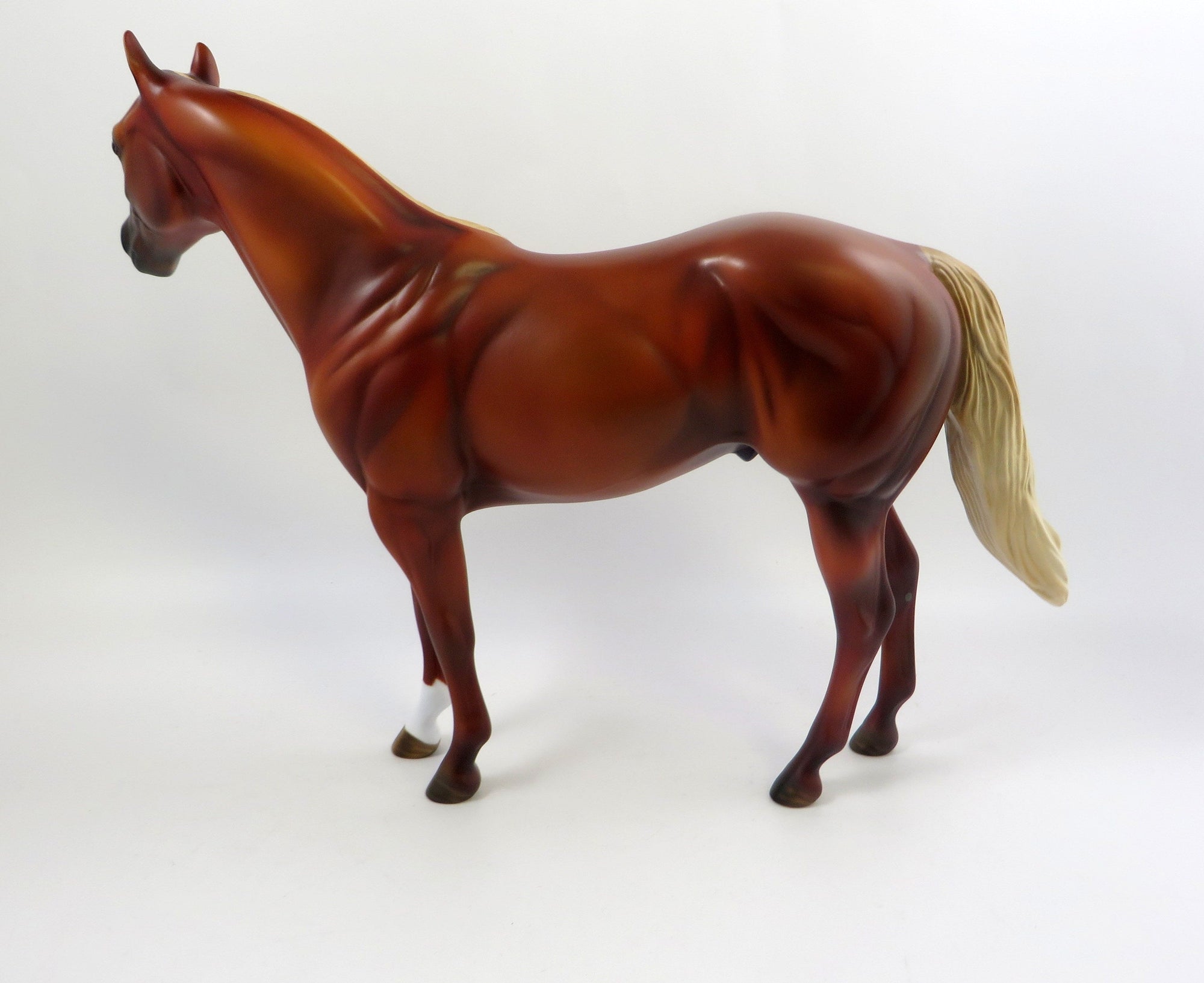 RED CARPET-LE-3 CHESTNUT ISH MODEL HORSE EQ 2019