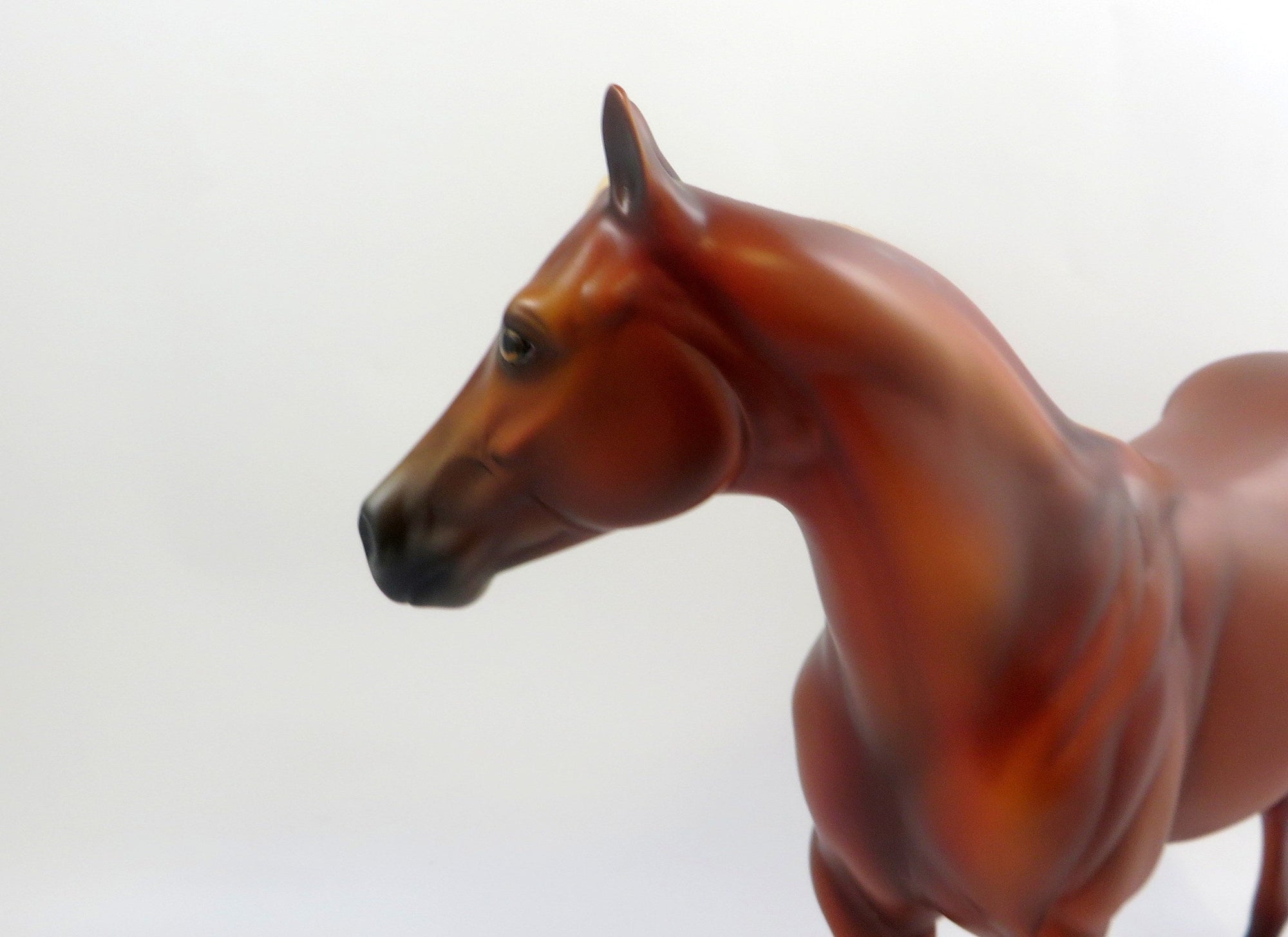 RED CARPET-LE-3 CHESTNUT ISH MODEL HORSE EQ 2019