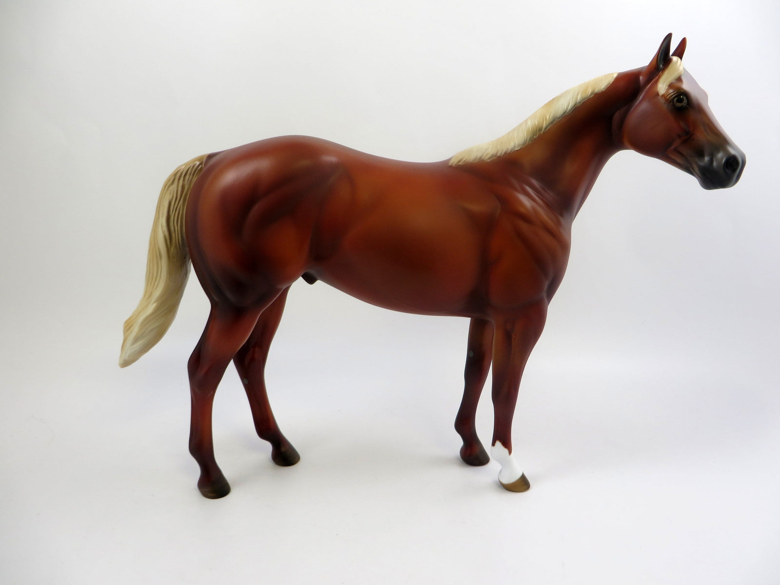 RED CARPET-LE-3 CHESTNUT ISH MODEL HORSE EQ 2019