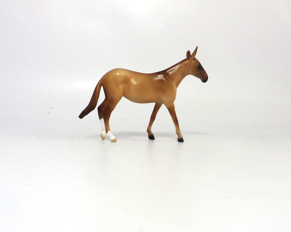 ZEB - OOAK RED DUN  MULE  BY AUDREY DIXON SB19