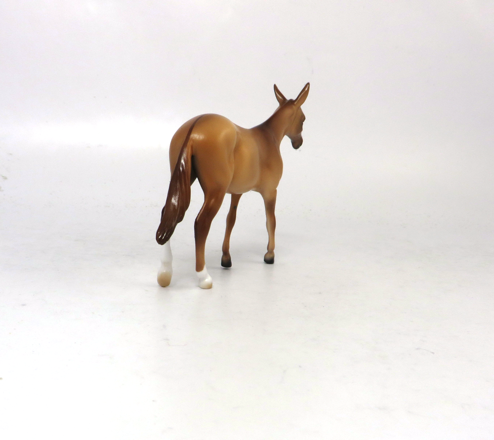 ZEB - OOAK RED DUN  MULE  BY AUDREY DIXON SB19