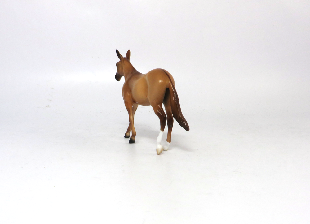 ZEB - OOAK RED DUN  MULE  BY AUDREY DIXON SB19