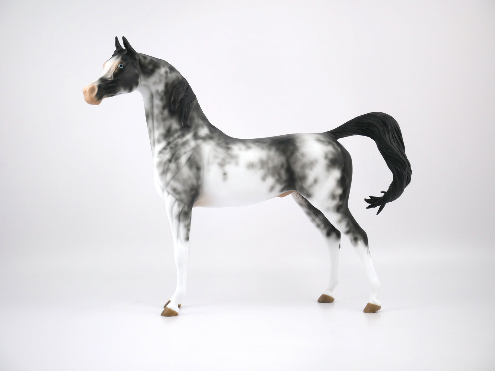 REDIRECTION- OOAK BLACK SABINO BY AUDREY DIXON 7/22/20