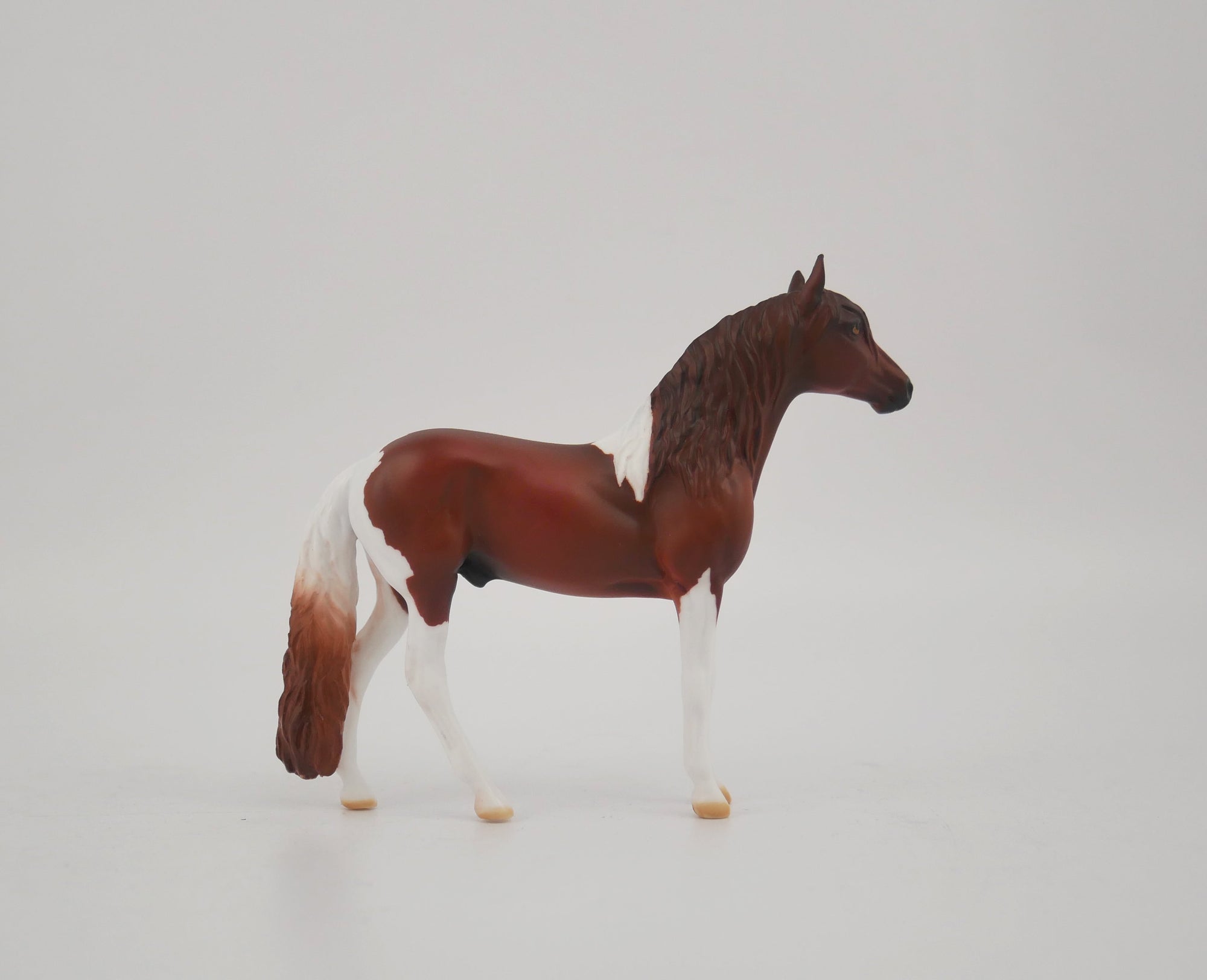 RED PEPPER-OOAK BAY PINTO ANDY CHIP