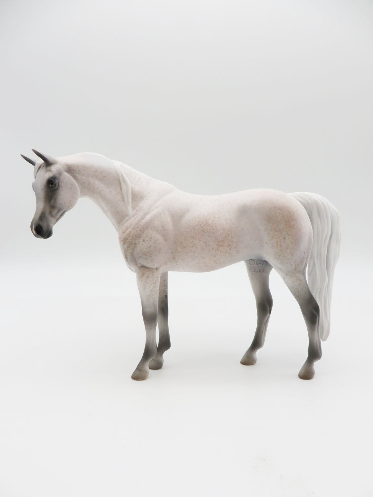 RED SQUIRREL - OOAK - FLEABITTEN ARABIAN PEBBLES BY JESS HAMILL LHS 22