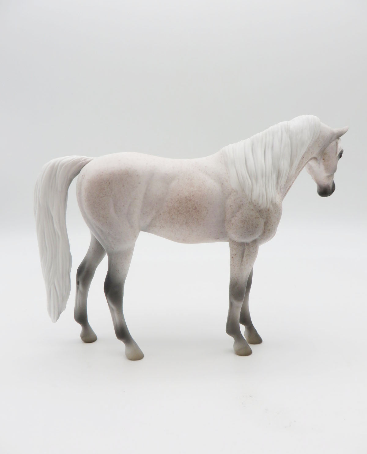 RED SQUIRREL - OOAK - FLEABITTEN ARABIAN PEBBLES BY JESS HAMILL LHS 22