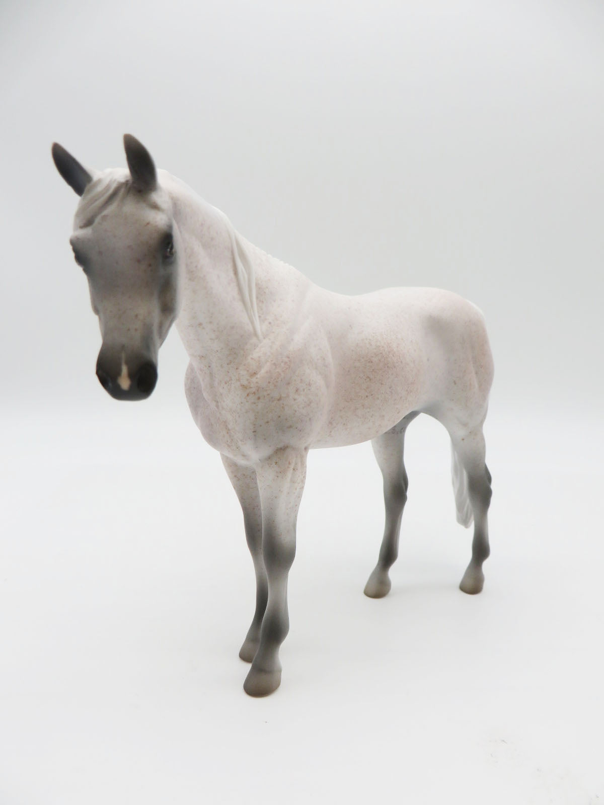 RED SQUIRREL - OOAK - FLEABITTEN ARABIAN PEBBLES BY JESS HAMILL LHS 22