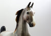 REGENT -OOAK DAPPLE ROSE GREY SADDLEBRED MODEL HORSE EQ 19