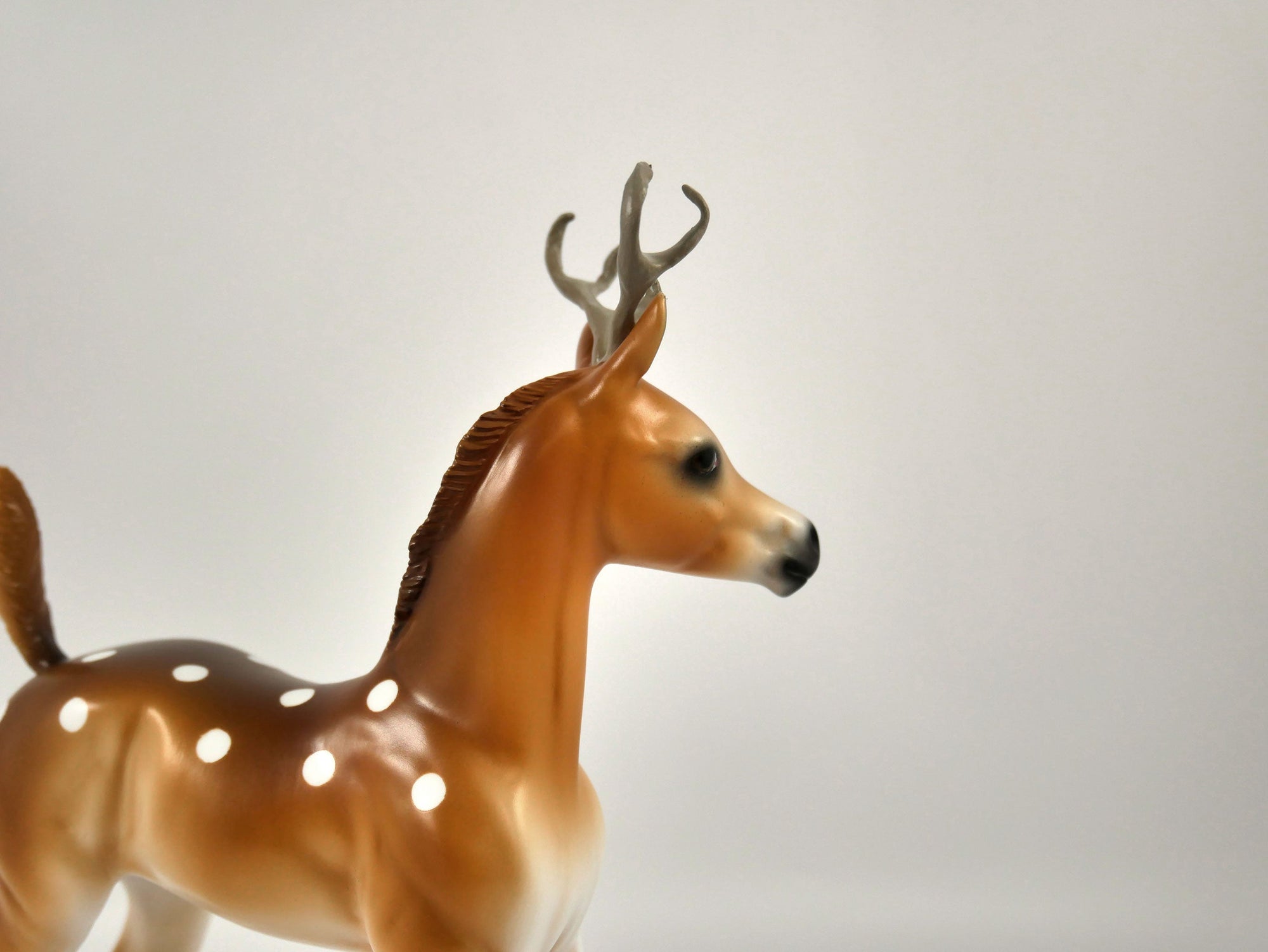 Dasher-LE-6 Reindeer Buck 12/18/20