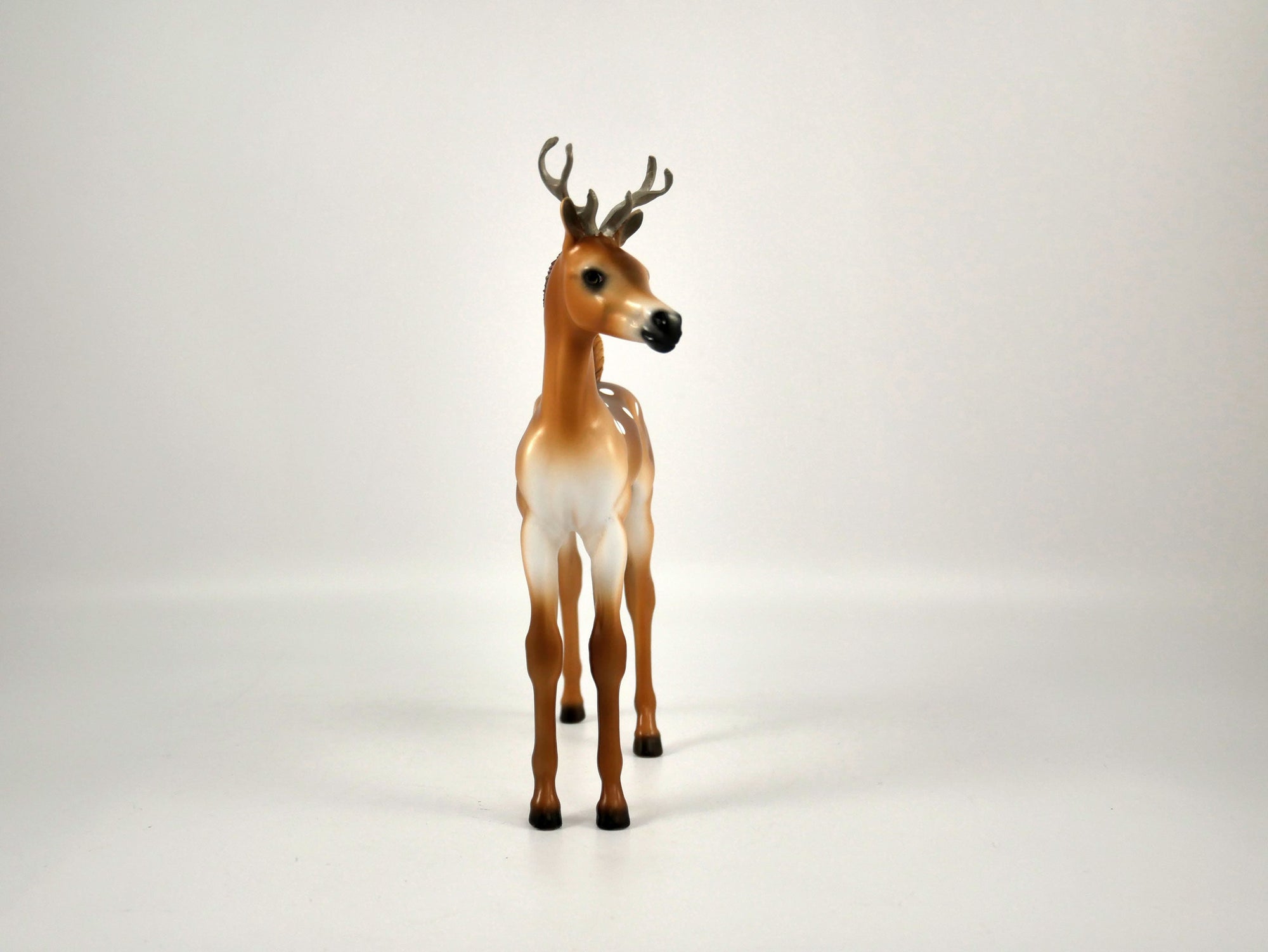 Dasher-LE-6 Reindeer Buck 12/18/20