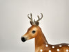 Dasher-LE-6 Reindeer Buck 12/18/20