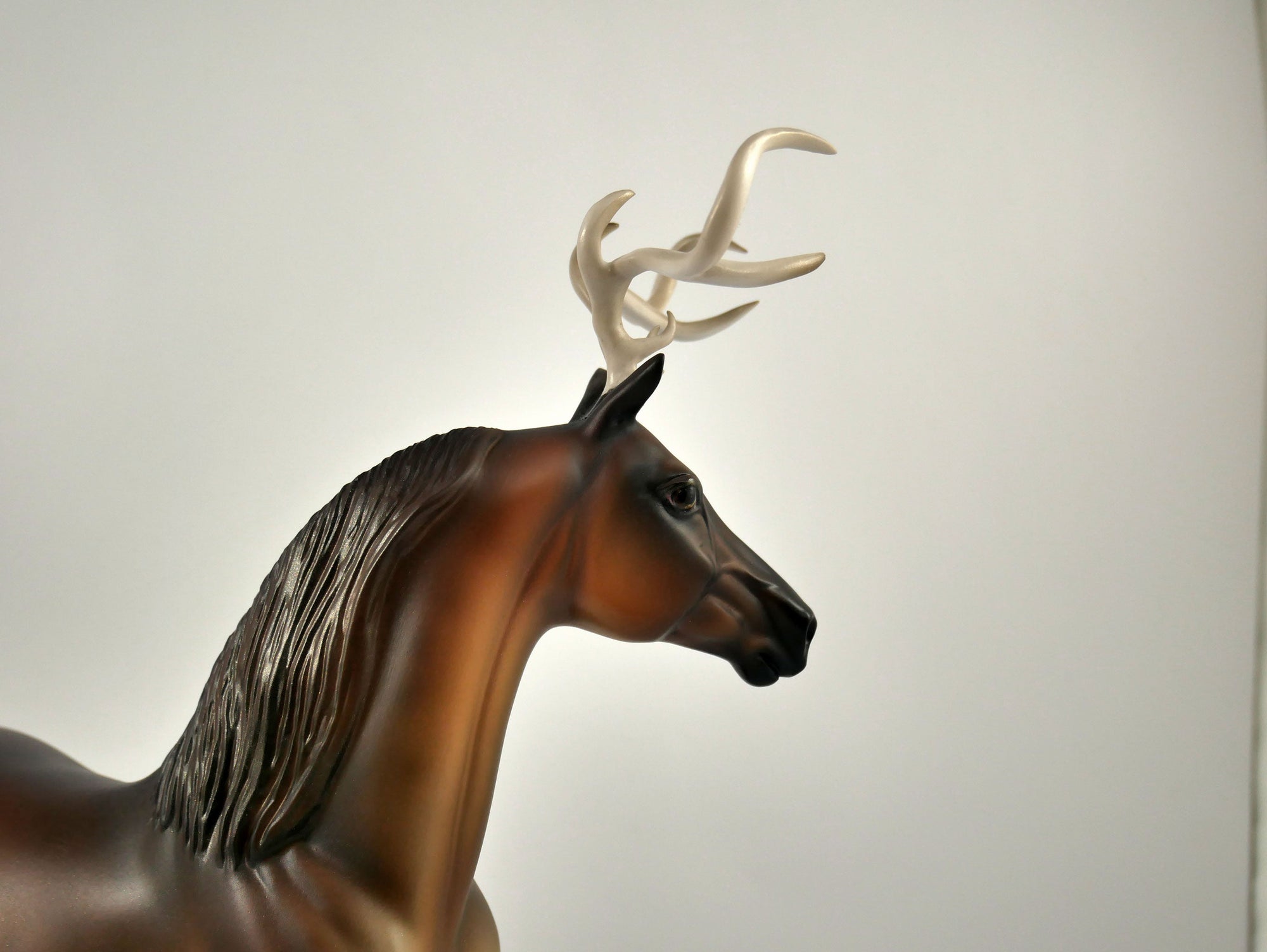 Blitzen-LE-5 Reindeer Morgan 12/18/20