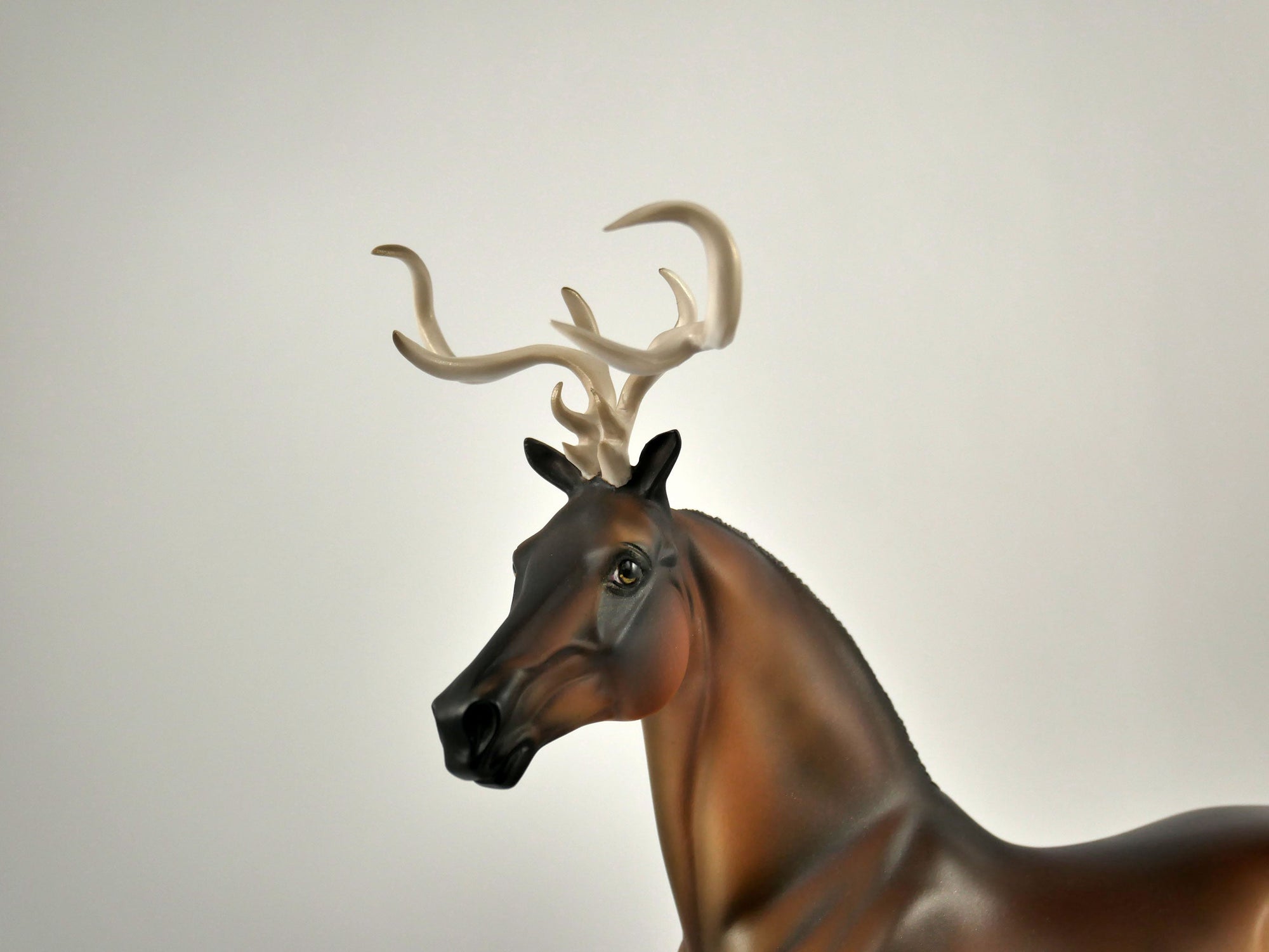 Blitzen-LE-5 Reindeer Morgan 12/18/20