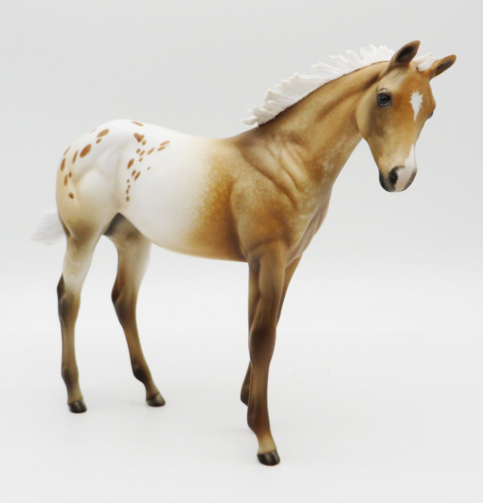 Ripley - OOAK Palomino Roan Appaloosa Weanling by Julie - MM 2021