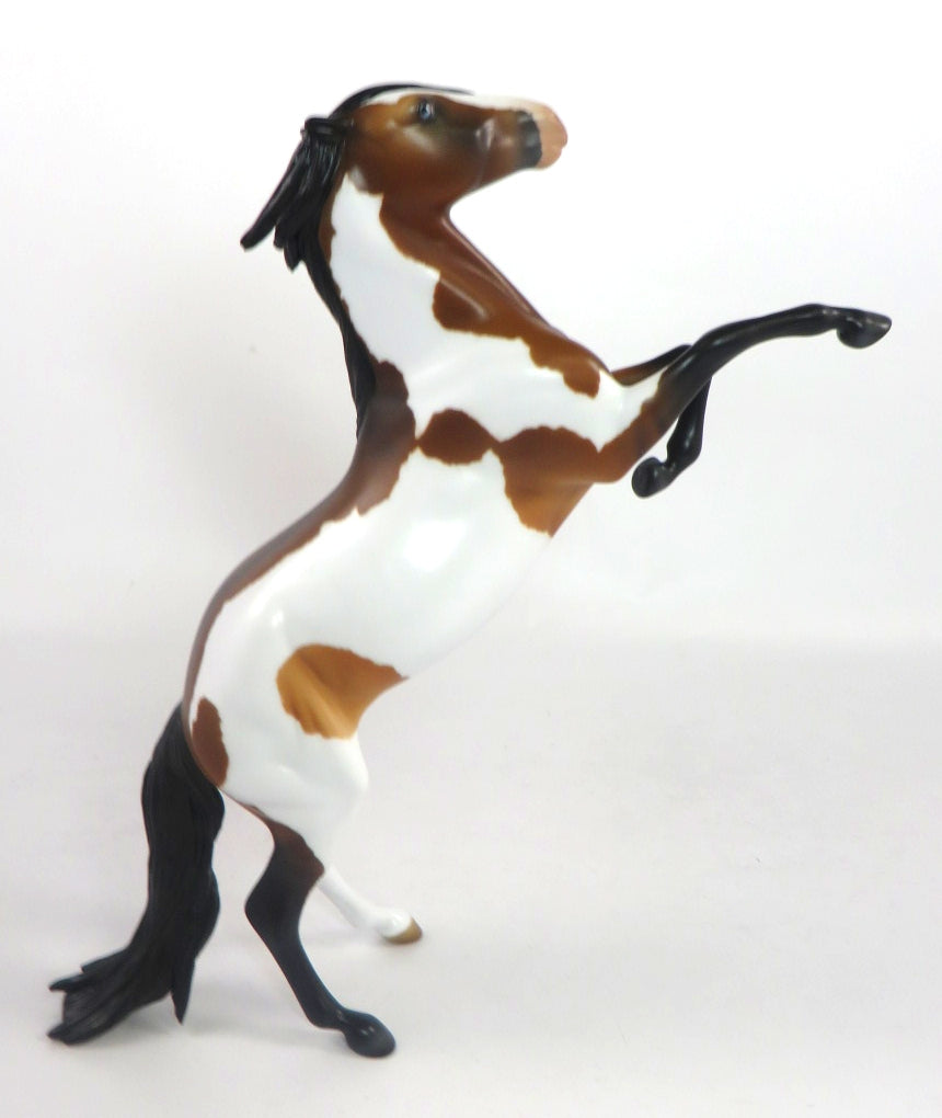 ROCCO-OOAK DARK BAY PINTO REARING PEBBLES MODEL HORSE 2/12/20