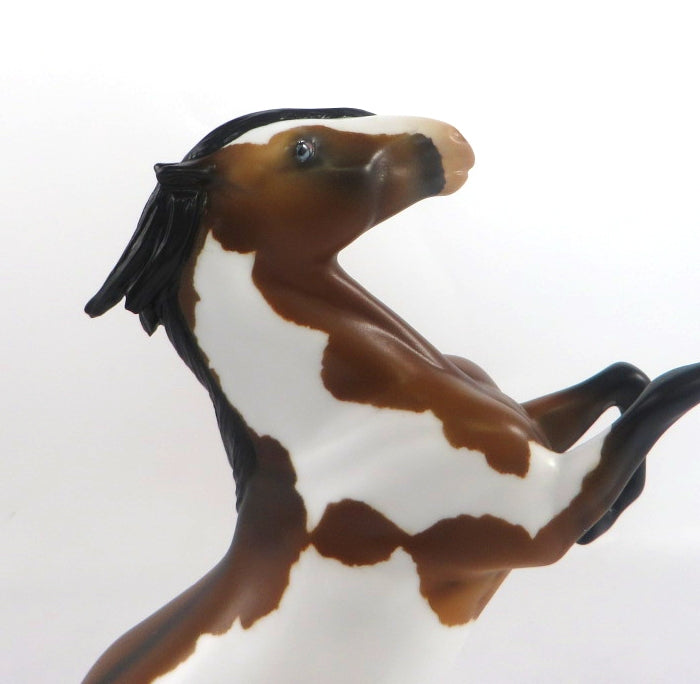 ROCCO-OOAK DARK BAY PINTO REARING PEBBLES MODEL HORSE 2/12/20