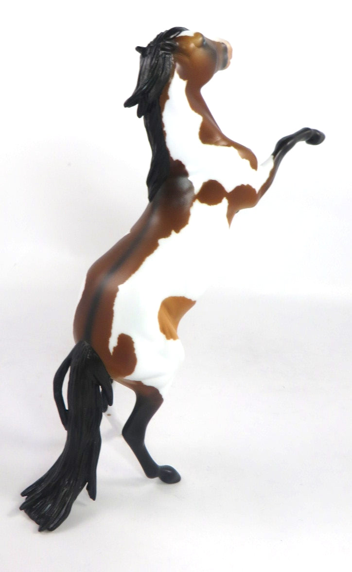 ROCCO-OOAK DARK BAY PINTO REARING PEBBLES MODEL HORSE 2/12/20