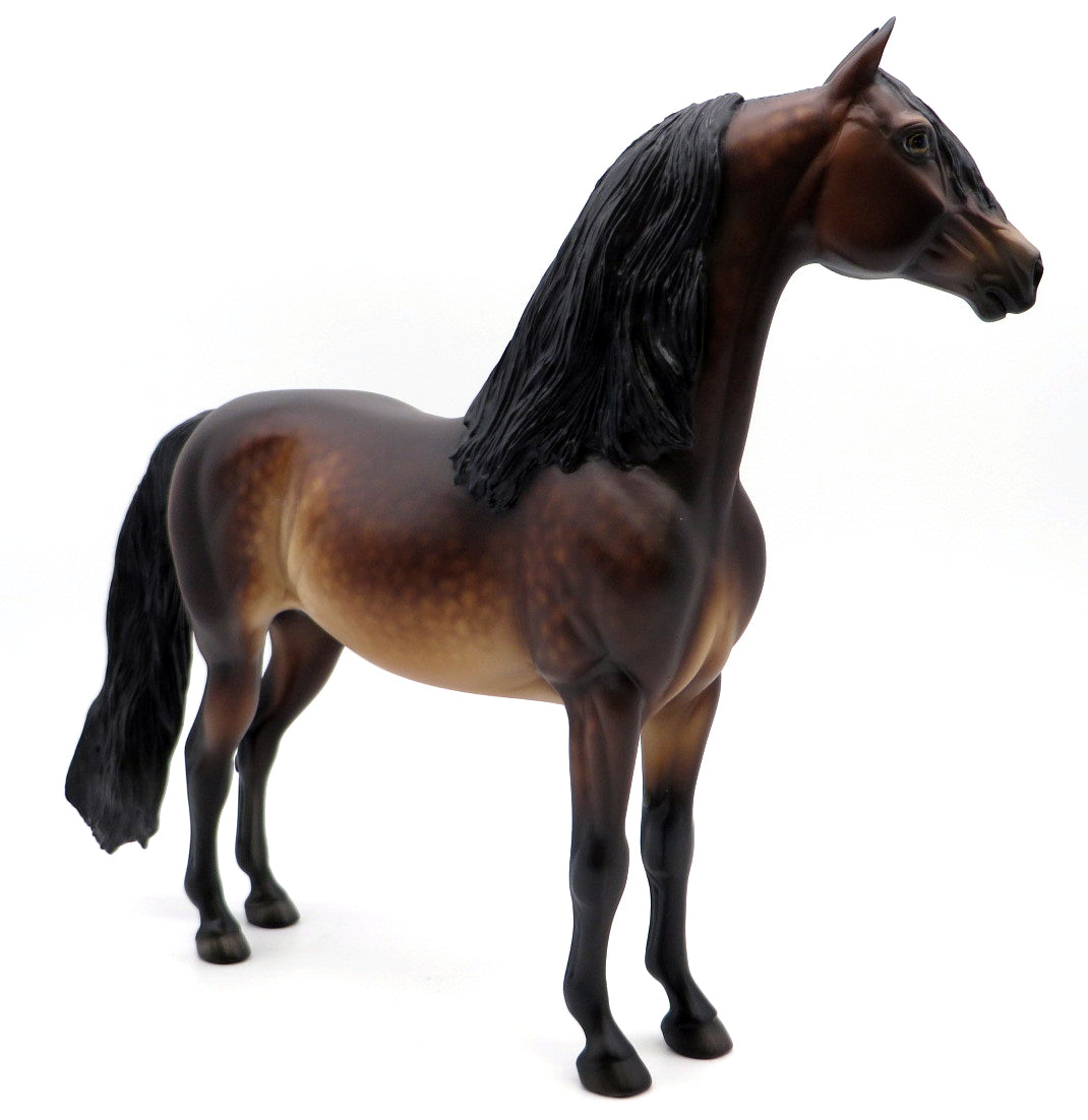 ROCK ON DUDE-OOAK DAPPLE BAY MORGAN BY SHERYL LEISURE 1/17/21