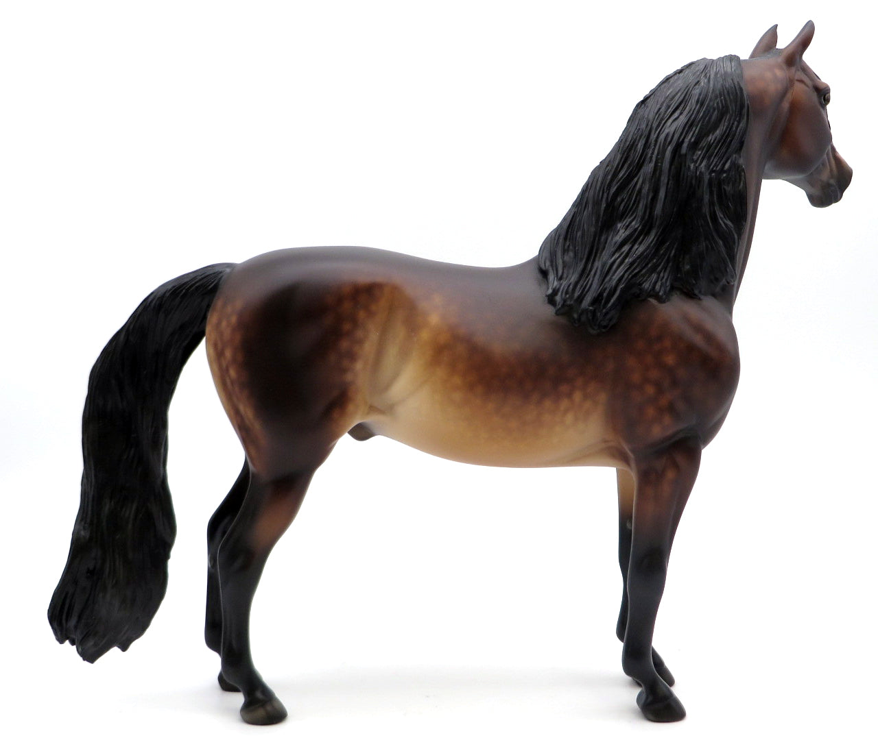 ROCK ON DUDE-OOAK DAPPLE BAY MORGAN BY SHERYL LEISURE 1/17/21